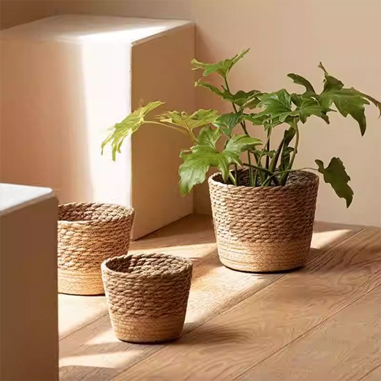 Cache pot en osier