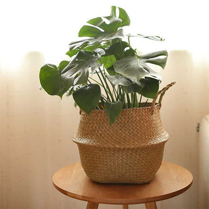 Cache pot en osier