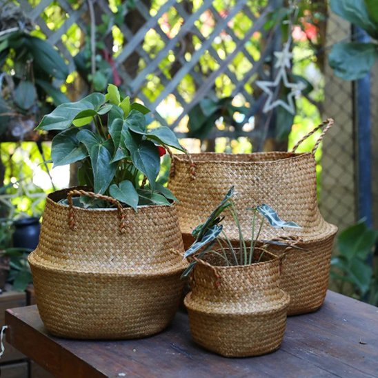 Cache pot en osier