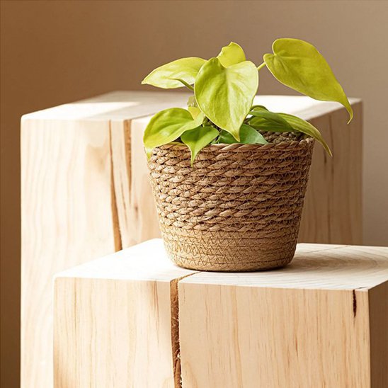 Cache pot en osier